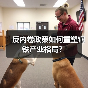 反内卷政策如何重塑钢铁产业格局?(图2) 反内卷政策如何重塑钢铁产业格局?(图2)
