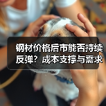 钢材价格后市能否持续反弹?成本支撑与需求变化如何推动?(图4) 钢材价格后市能否持续反弹?成本支撑与需求变化如何推动?(图4)