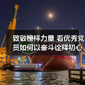 致敬榜样力量 看优秀党员如何以奋斗诠释初心与担当（图4）