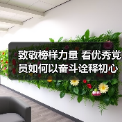 致敬榜样力量 看优秀党员如何以奋斗诠释初心与担当（图1）