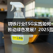 钢铁行业ESG实践如何推动绿色发展？2025蓝皮书深度解读（图2）
