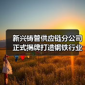 新兴铸管供应链分公司正式揭牌打造钢铁行业供应链新生态（图2）