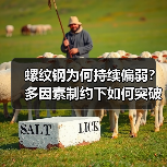 螺纹钢为何持续偏弱?多因素制约下如何突破?(图3) 螺纹钢为何持续偏弱?多因素制约下如何突破?(图3)