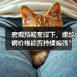 宏观预期支撑下,螺纹钢价格能否持续偏强?(图3) 宏观预期支撑下,螺纹钢价格能否持续偏强?(图3)