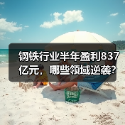 钢铁行业半年盈利837亿元,哪些领域逆袭?(图3) 钢铁行业半年盈利837亿元,哪些领域逆袭?(图3)