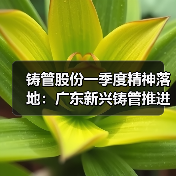 铸管股份一季度精神落地：广东新兴铸管推进二季度攻坚与安全管理（图4）