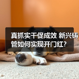真抓实干促成效 新兴铸管如何实现开门红？（图3）