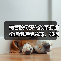 铸管股份深化改革打造价值创造型总部,如何实现企业转型?(图4) 铸管股份深化改革打造价值创造型总部,如何实现企业转型?(图4)
