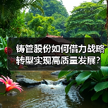铸管股份如何借力战略转型实现高质量发展？（图2）