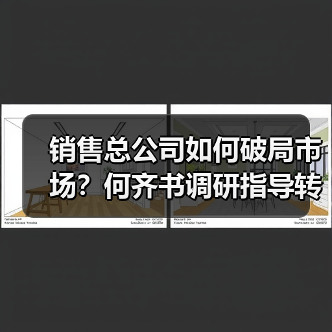 销售总公司如何破局市场？何齐书调研指导转型升级路径（图3）