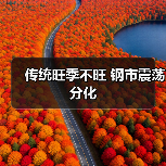传统旺季不旺 钢市震荡分化（图4）