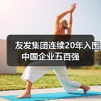 友发集团连续20年入围中国企业五百强（图1）