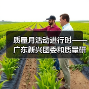 质量月活动进行时——广东新兴团委和质量研发部联合举办QC课题培训辅导班（图1）