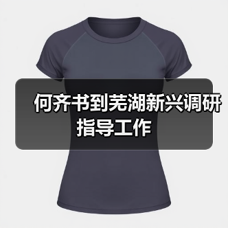 何齐书到芜湖新兴调研指导工作（图2）