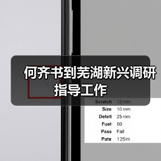 何齐书到芜湖新兴调研指导工作（图4）