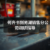何齐书到芜湖销售分公司调研指导（图1）