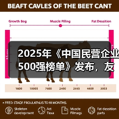 2025年《中国民营企业500强榜单》发布，友发集团位列224名（图1）