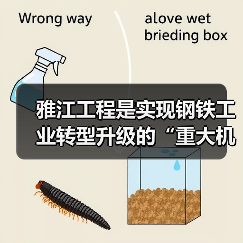 雅江工程是实现钢铁工业转型升级的“重大机遇”（图1）
