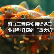 雅江工程是实现钢铁工业转型升级的“重大机遇”（图4）