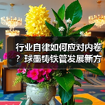 行业自律如何应对内卷？球墨铸铁管发展新方向（图1）
