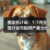 国家统计局:1-7月全国分省市粗钢产量出炉(图4) 国家统计局:1-7月全国分省市粗钢产量出炉(图4)