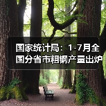 国家统计局:1-7月全国分省市粗钢产量出炉(图2) 国家统计局:1-7月全国分省市粗钢产量出炉(图2)