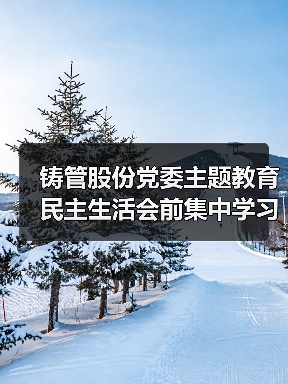 铸管股份党委主题教育民主生活会前集中学习：强化理论与政治建设（图4）
