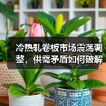 冷热轧卷板市场震荡调整,供需矛盾如何破解?(图1) 冷热轧卷板市场震荡调整,供需矛盾如何破解?(图1)