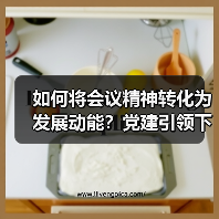 如何将会议精神转化为发展动能？党建引领下的能力提升实践（图3）