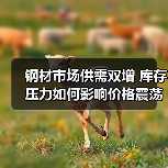 钢材市场供需双增 库存压力如何影响价格震荡区间（图3）