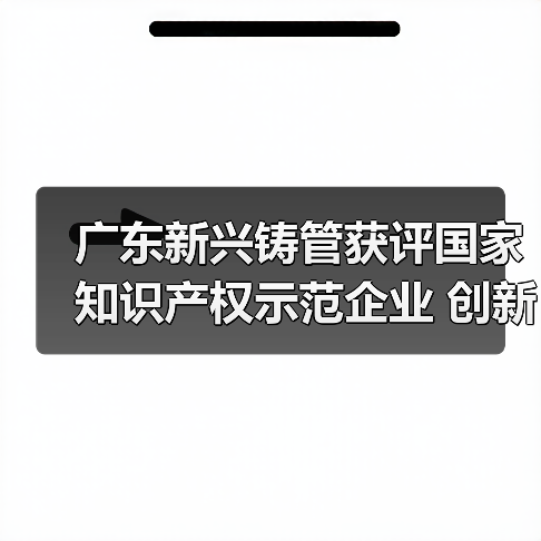 广东新兴铸管获评国家知识产权示范企业 创新实力再升级(图3) 广东新兴铸管获评国家知识产权示范企业 创新实力再升级(图3)