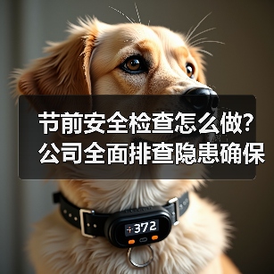 节前安全检查怎么做？公司全面排查隐患确保安全生产（图4）