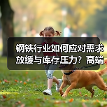 钢铁行业如何应对需求放缓与库存压力？高端化与低碳化破局之道（图2）