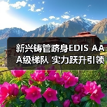 新兴铸管跻身EDIS AAA级梯队 实力跃升引领行业新格局(图2) 新兴铸管跻身EDIS AAA级梯队 实力跃升引领行业新格局(图2)