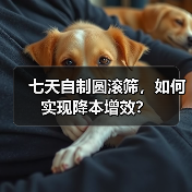 七天自制圆滚筛,如何实现降本增效?(图2) 七天自制圆滚筛,如何实现降本增效?(图2)