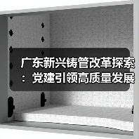 广东新兴铸管改革探索：党建引领高质量发展新路径（图4）