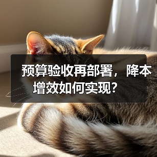 预算验收再部署，降本增效如何实现？（图4）
