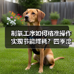 制氧工序如何精准操作实现节能降耗？四季度降本增效新举措（图1）