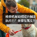 检查机制如何提升制度执行力？关键在落实与优化（图3）