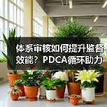 体系审核如何提升监督效能？PDCA循环助力（图3）