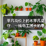 平凡岗位上的不平凡坚守：一线电工班长的奉献与担当（图3）
