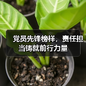党员先锋榜样，责任担当铸就前行力量（图3）