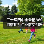 二十届四中全会精神如何落地?企业落实部署全解析(图2) 二十届四中全会精神如何落地?企业落实部署全解析(图2)