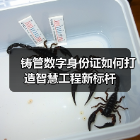 铸管数字身份证如何打造智慧工程新标杆（图1）