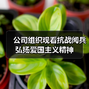 公司组织观看抗战阅兵 弘扬爱国主义精神(图2) 公司组织观看抗战阅兵 弘扬爱国主义精神(图2)