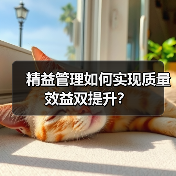 精益管理如何实现质量效益双提升?(图1) 精益管理如何实现质量效益双提升?(图1)