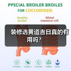 装修选黄道吉日真的有用吗?(图1) 装修选黄道吉日真的有用吗?(图1)